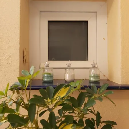 Girasoles * フエンヒロラ