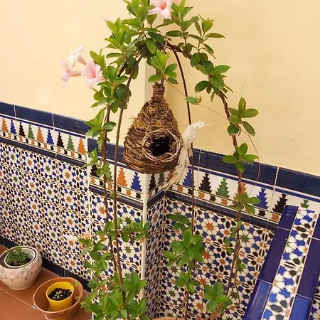 Couette-café Girasoles