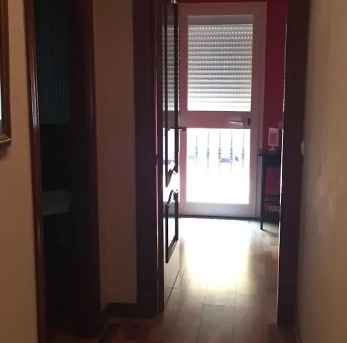 Girasoles * Fuengirola