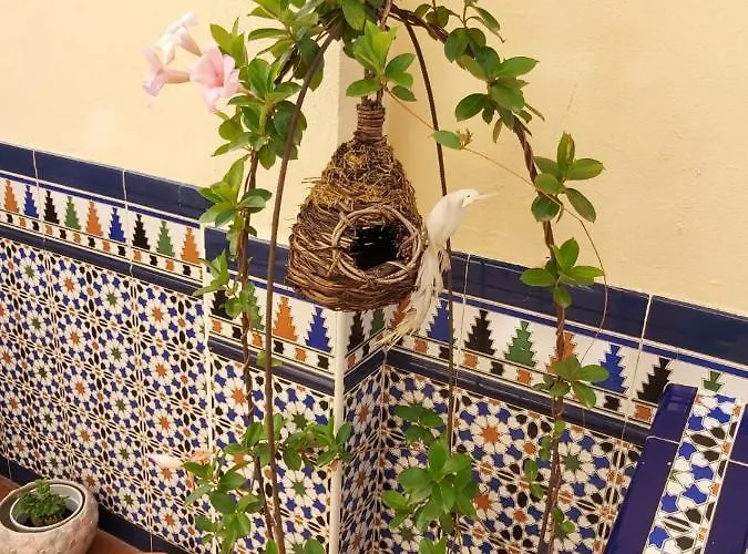 Bed & Breakfast Girasoles